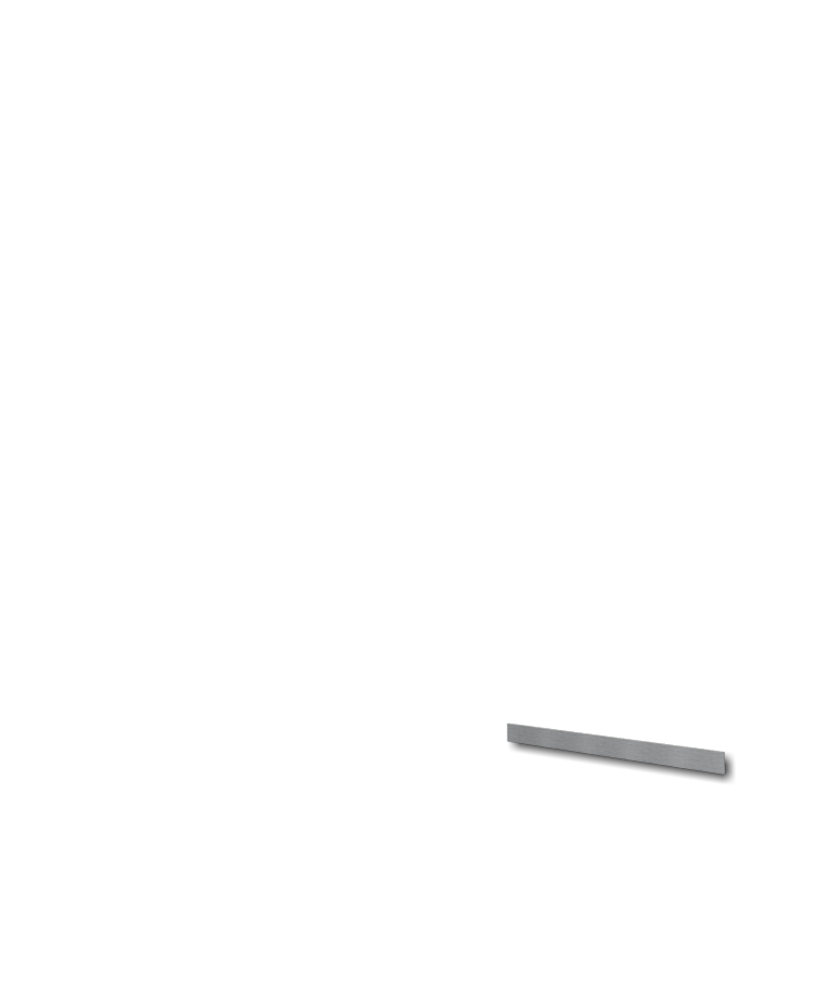 3 inch Side Bumper Rail Option
